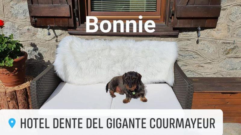 Hotel Dente Del Gigante 쿠르마예 외부 사진